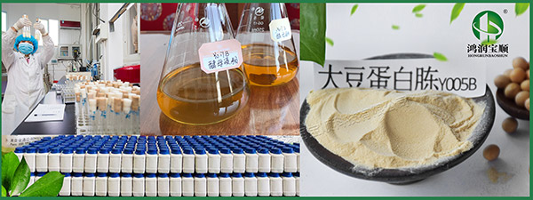 培養(yǎng)基原料選對(duì)了嗎？——乳制品行業(yè)的精準(zhǔn)配比之道